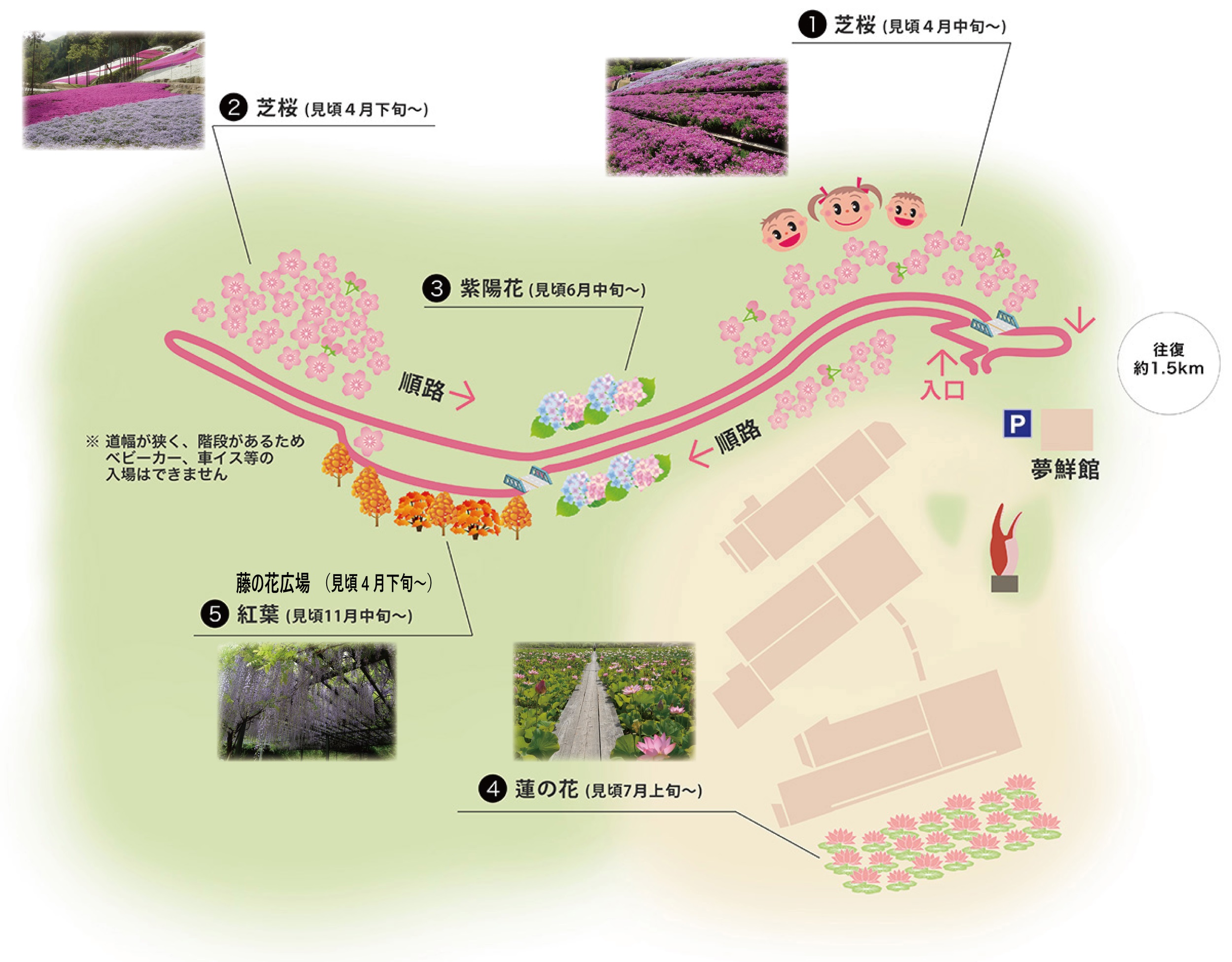 芝桜散策MAP